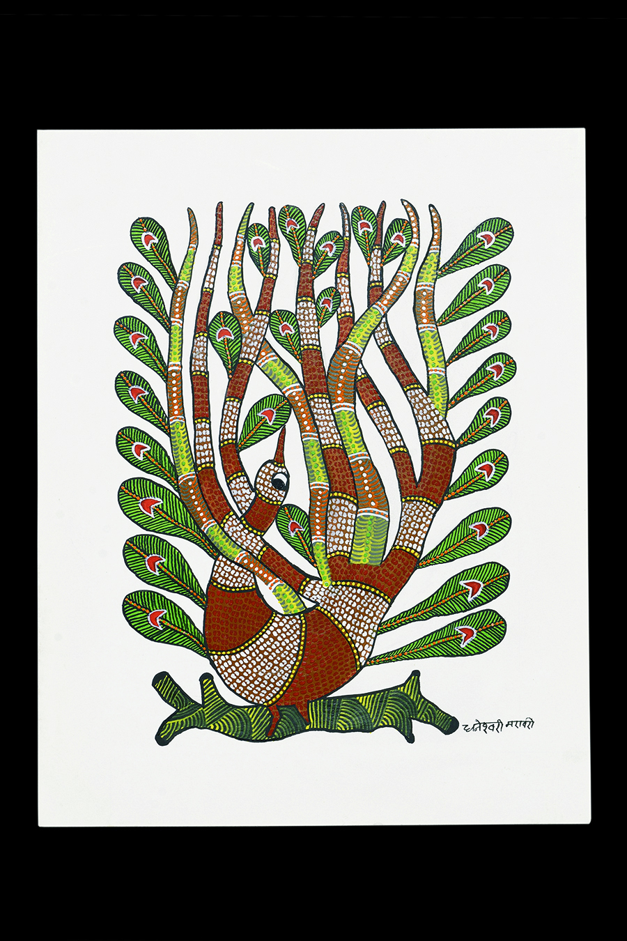 Dancing Peacock - Gond Painting